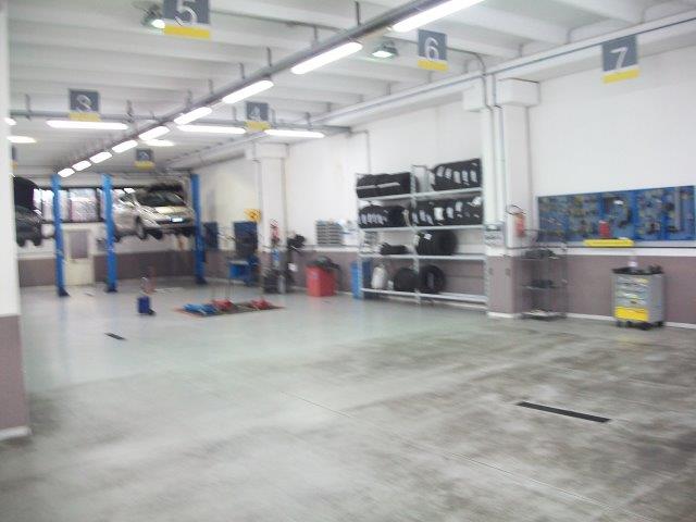 Immagine 4 di SAPRI - Immobile a destinazione commerciale