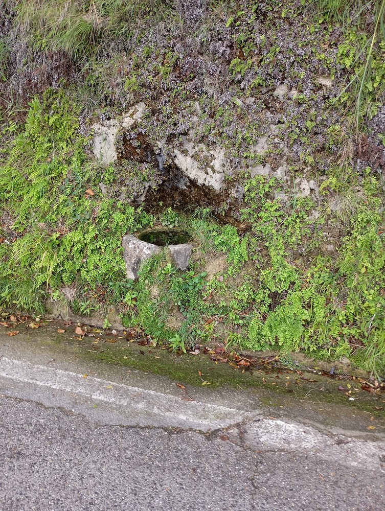 Immagine 2 di SAPRI - Terreno