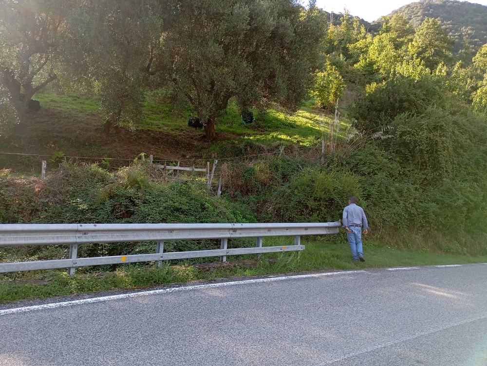 Immagine 7 di SAPRI - Terreno