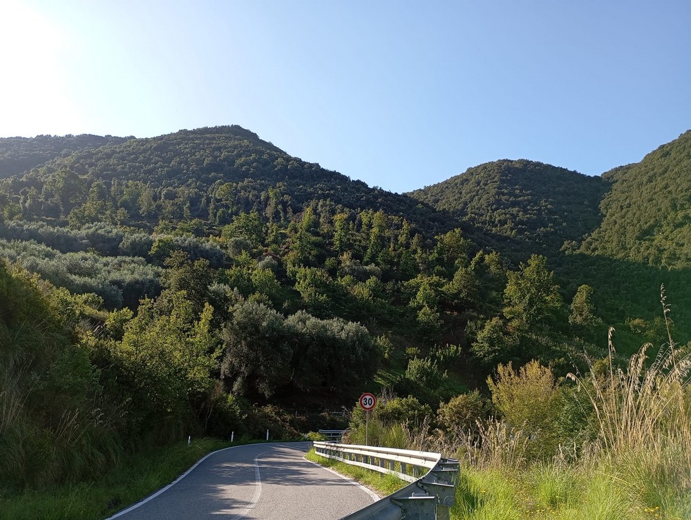 Immagine 8 di SAPRI - Terreno