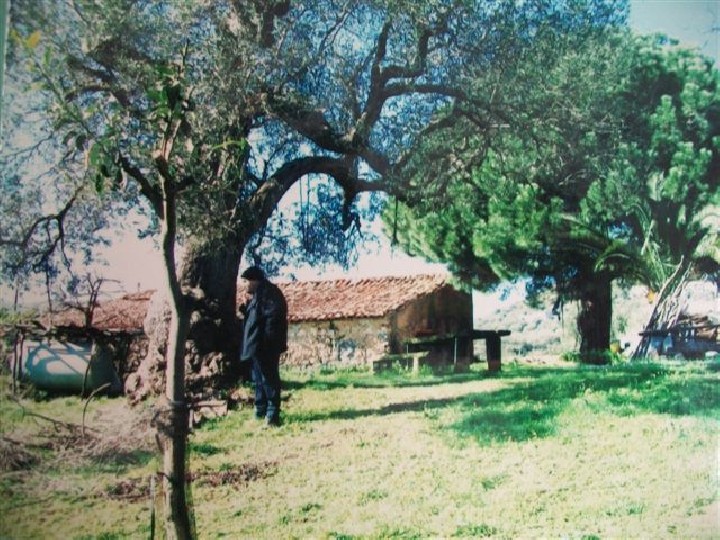 MARINA DI CAMEROTA - Rudere