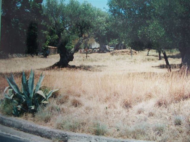 Immagine 17 di MARINA DI CAMEROTA - Rudere