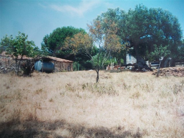 Immagine 18 di MARINA DI CAMEROTA - Rudere