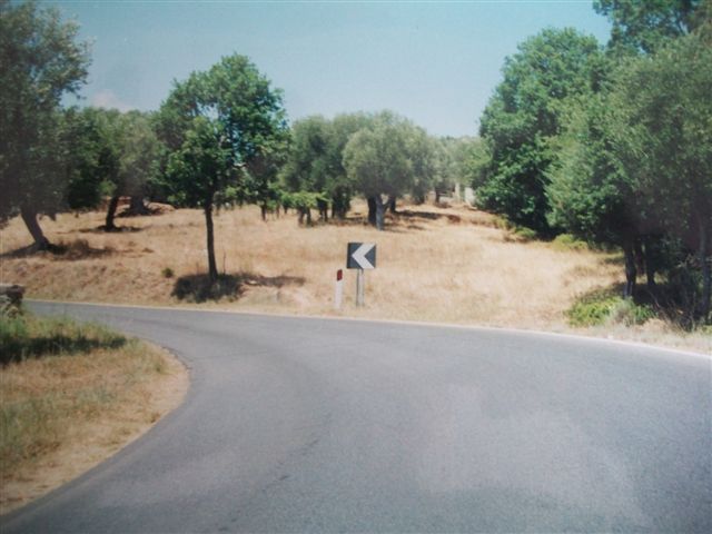 Immagine 22 di MARINA DI CAMEROTA - Rudere