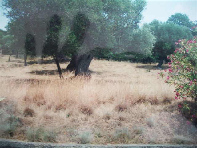 Immagine 23 di MARINA DI CAMEROTA - Rudere