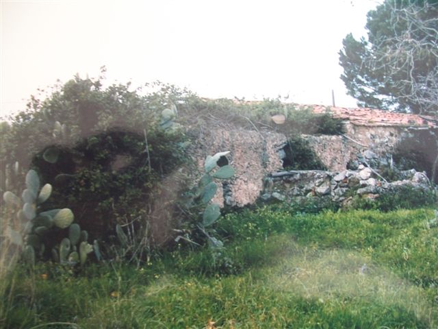 Immagine 24 di MARINA DI CAMEROTA - Rudere