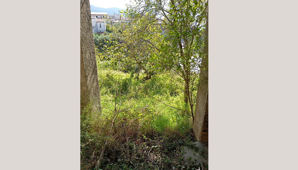 Immagine 3 di TORRACA - Palazzotto baronale 1878