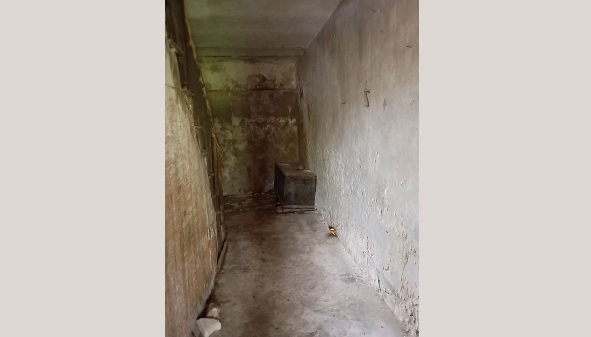 Immagine 10 di TORRACA - Palazzotto baronale 1878